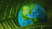 World Earth Day Concept. Green Moisture Leaf with Droplet Water Embracing a Handmade Globe. Environment to Love and Care